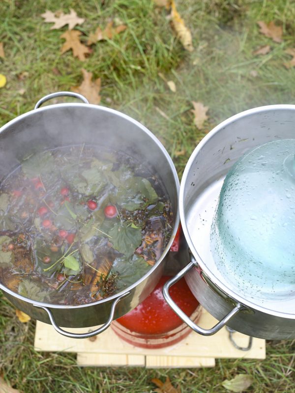 Herbalisnus a vokální ekologické zaříkávání_3